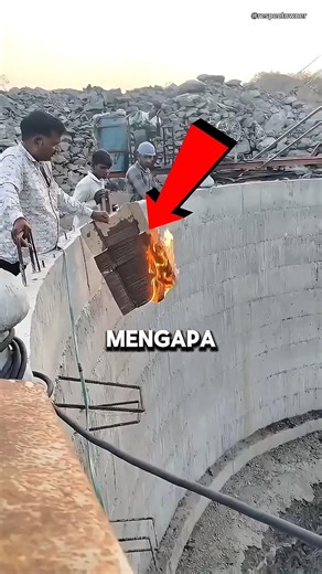 Why Did He Do That? 🤔
