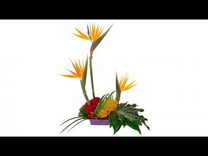 Formal Linear Floral Design