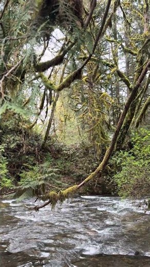 Clear Creek at Metzler County Park 10