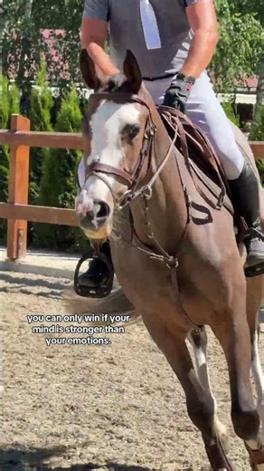 Would you take this horse to a championship?