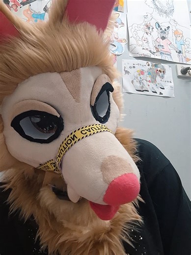 she has a collar and halter now~ #furryfandom #furry #foryoupage #fursuit #viral