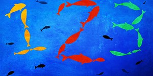 What the simple mathematical abilities of animals can tell us about ourselves