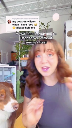 From Problem Pup to Einstein Dog! Engaging brain games for lasting behavior change. Learn More : https://en-braintrainingfordog.com/ | We Dog Trainer