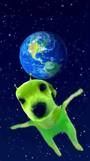 Gabble is my new pibble