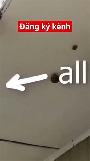 #funny #độngvậtdễthương #rewiew #giaitri #conkiens #dongvat #xuhuongyoutube #shorts #dongvathaihuoc