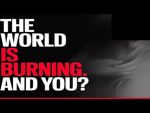 While The World Burns — The Disciplined Keep Building