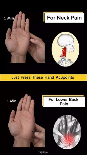 Press These Amazing Hand Acupressure Points for 1 minute For Neck Pain For Lower Back Pain Yogvidya #neckpain #neckpainrelief #backpain #backpainrelief #backpaintreatment #backpainexercises #mudra #mudras #accupuncture #accupressure #health #healthylifestyle #healthtips #healthylife #yoga #yogapractice #facebookreel #facebookviral #FacebookPage #fb #fbreels #reelsfacebook #trend #trendingreels #viralpost #viralreelsfb | Yogvidya
