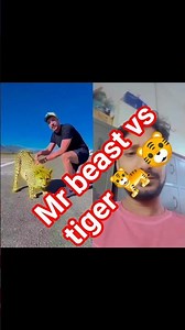 Mr Beast vs চিতাবাঘের দৌড় 😲 #bdxduet #funny #waterbadtv #duet #comedy #mrbeast #shorts #viral #yt