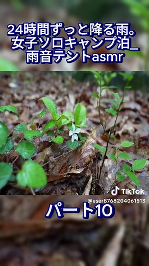 【徒歩で雨キャンプ】24時間ずっと降る雨。女子ソロキャンプ泊_雨音テントasmr