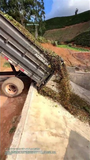 コーヒー豆の旅：坑洞への注ぎ込みが味を決める