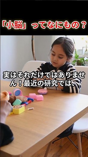 ただの小さい脳？「小脳」とは
