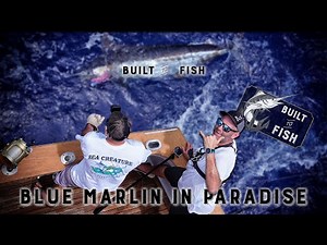 Blue Marlin Fishing in Paradise - Kona