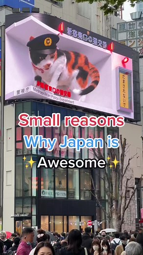 Small reasons why Japan is awesome #japan #japanontiktok #japantravel #travel #foryou