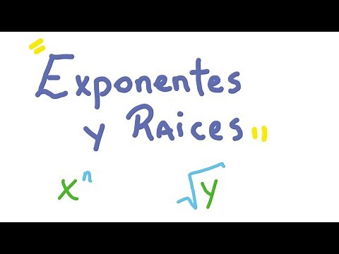 Cálculo I - Ep6 - Exponentes y Raíces