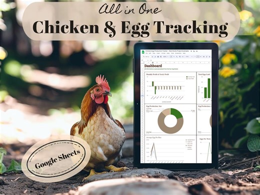 Chicken Tracker & Egg Production Planner - Digital Homestead Tool via Online Spreadsheet (google Sheets) - Etsy