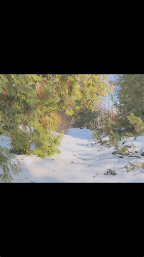 Explore Spring Wonders in Nature