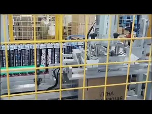 Automated End-of-Line Packing Machines For Aerosol Packaging Solution