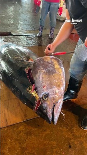 Tuna master breaks down giant bluefin with sharpest knife #BluefinTuna #KnifeSkills #SushiArt
