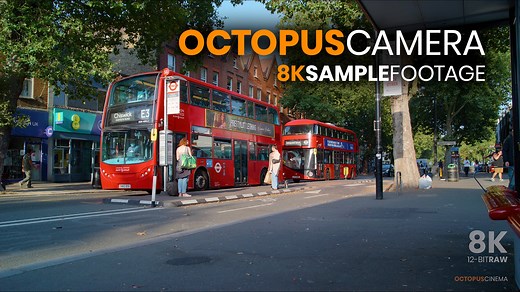 OCTOPUSCAMERA 8K LF - Sample Footage - Lossless 8K 12-bit RAW