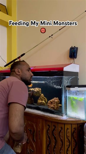 ❤️#shorts #fyp #arowana #aquarium #fishkeeping #aquascape #viral #fishshorts #trending #catfish #og