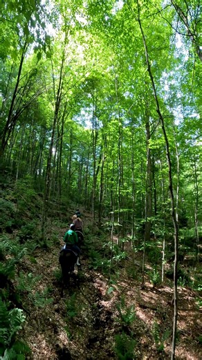 Adirondack Trail Ride • Top Side • [WILDERNESS RANCH]