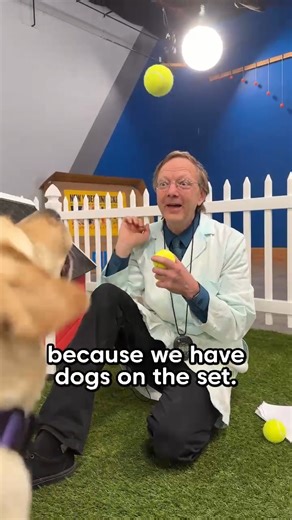 A new video dropped on the CrunchLabs YouTube channel today! Go check it out! https://www.youtube.com/watch?v=nBfK04-QPpg | CrunchLabs