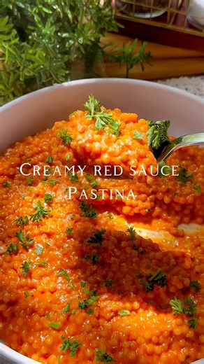 9.1K reactions · 34 shares | “A comforting and cozy Red Sauce Pastina...