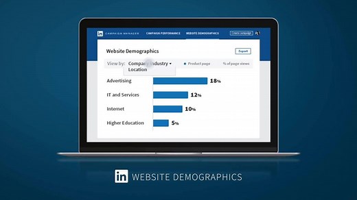 Gain insights on the professional traits of your website visitors with LinkedIn Website Demographics. | LinkedIn