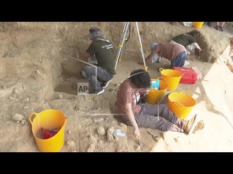 Fossil jaw from early human ancestor unearthed in southern Georgia is 1.8 million years old