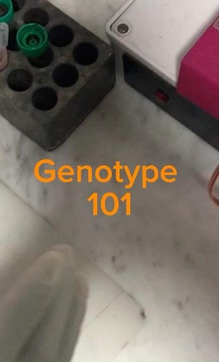 How to run a Genotype Test as a Beginner. #laboratorylife #genotypetesting #labscommunity #Lab girl