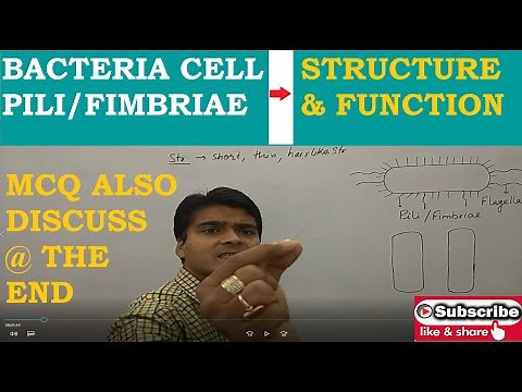Bacterial Cell | Structure of Pili or Fimbriae | Function of Pili | Detection of Pili | MCQ Bacteria