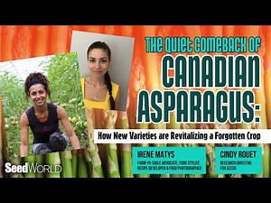How Fox Seeds Is Breeding New Asparagus Designed For Canada