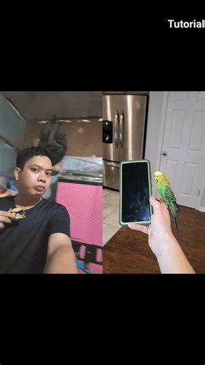 how it was done #shorts #memes #funny #tutorial #viral #video