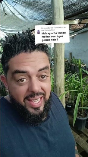 Gelo no Cymbidium Quente? FLORESCE ou MATA?