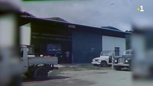 16K views · 146 reactions | ✋Des agriculteurs des îles Sous-le-Vent sont formés à la culture de la vanille. L'occasion de mettre en pratique les techniques spécifiques à la production de la vanille. Retrouvez l’intégralité du magazine HEHEU «la vanille de Polynésie», en #replay, ici ▶ https://la1ere.francetvinfo.fr/polynesie/tahiti/polynesie-francaise/heheu-la-vanille-1320520.html | Polynésie la 1ère | Facebook