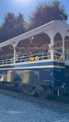 𝑴𝑰𝑲𝑨 | 𝐌𝐎𝐓𝐇𝐄𝐑𝐇𝐎𝐎𝐃 • 𝐅𝐀𝐌𝐈𝐋𝐘 on Instagram: "🎃✨ All aboard for fall fun! @sacramentoriverfoxtrain took us straight to pumpkin patch magic — train rides, pumpkins, and memories with my little crew. 🚂🍂 #PumpkinPatchAdventures #RiverFoxTrain #halloween #pumpkinseason #pumpkinpatch #sacramento #toddleractivites #momsofinstagram"