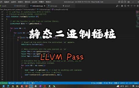 使用 LLVM Clang13 进行代码插桩的简单示例