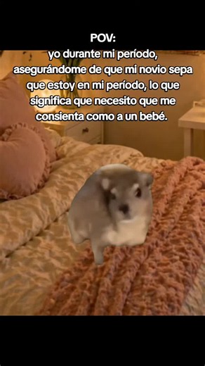 Cómo pedir mimos en tu periodo: guía para parejas