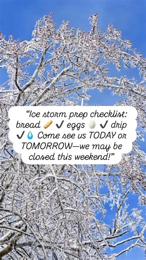 “Ice storm survival kit: bread, eggs, and a good drip ❄️🥖🥚💧 We may be closed Sat–Sun, so come today or tomorrow!” . . . . #frisco #prosper #littleelm #plano | Prime IV Hydration & Wellness