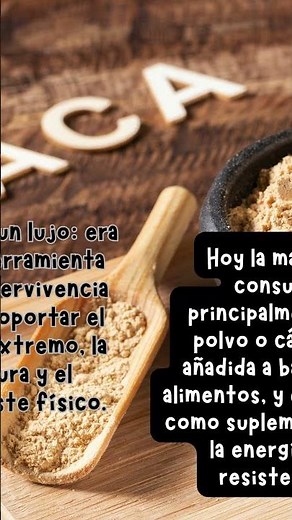 Maca: la raíz andina que desafía la altura #maca #sabiduríaancestral #energiaandina #medicinaandina