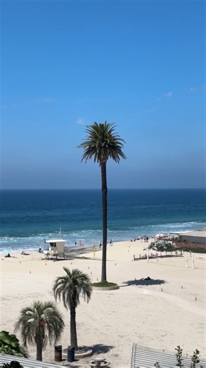 Every day is National Beach Day in San Diego — but today we’re spotlighting Moonlight State Beach in Encinitas, a local favorite for families, surfers, and sun-chasers alike. 🌊☀️ Here’s how to spend the perfect beach day here: 🚙 Start with easy access, with a free parking lot it’s a convenient beach to set up for the day. 🏖️ Claim your spot on the wide sandy stretch which is ideal for everything from sandcastles to sunbathing. 🌭 Fuel up at the concessions stand, serving fresh meals and local