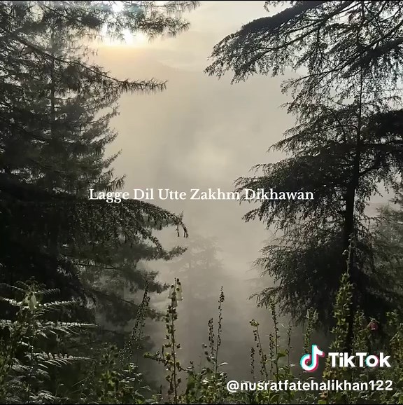 Nusrat Fateh Ali Khan's Timeless Qawwali Lines