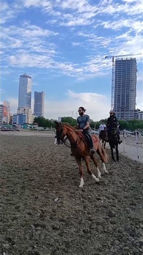 Horse Riding Early Morning #horse