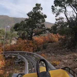 2.1K reactions · 650 shares | Have you taken a ride on the Alpine Coaster? Fall colors have arrived at Glenwood Caverns. Enjoy the ride and the colorful views! | Glenwood Caverns Adventure Park | Facebook