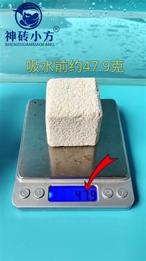 Incredible Water Absorption Test of Bio Filter Media 🌊 #Shorts