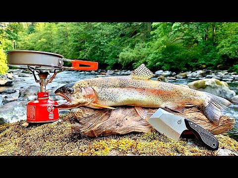 BIG Rainbow Trout Catch & Cook!!! PRISTINE River Fishing with my Dog & UNDERWATER FOOTAGE