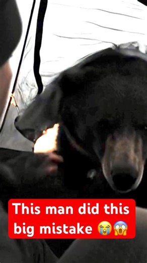 Only folks in bear country know this mistake.”