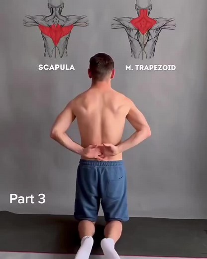 Essential Scapula Mobility ⚡️ @makarin Mobilize and strengthen your back muscles! Simply choose 4 - 6 exercises that you struggle with the most and perform each one for ~45s during a warm-up/morning mobility session. Do 1-3 sets. Stay consistent! ✅️ Forget about back pain ✅️ Identify & target weak points ✅️ Increase muscle awareness - - #scapula #backworkout #fitness #fitnessforbeginners #backpain #mobility #movement