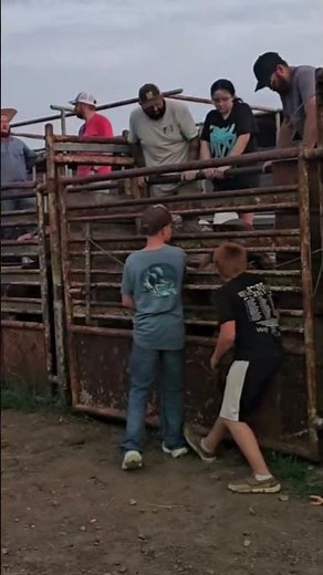 chute dogging