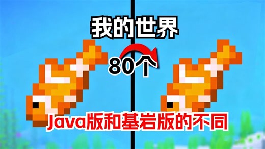 我的世界：80个Java版和基岩版的不同